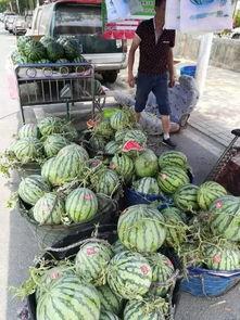 沂水吃瓜网红事件